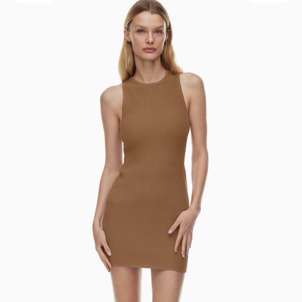 Aritzia Babaton Brown Super-mini Ribbed Sleeveless Dress
